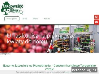 Zrzut ekranu strony targowiskozdroje.pl