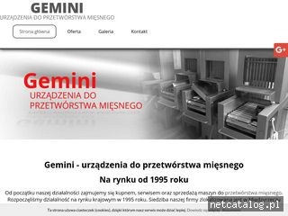 Zrzut ekranu strony www.gemini-serwis.pl