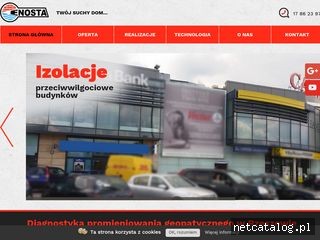 Zrzut ekranu strony www.enosta.pl