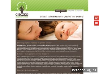 Zrzut ekranu strony www.cieczko.com.pl