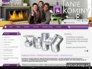 Zrzut ekranu strony taniekominy.pl