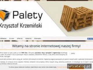 Zrzut ekranu strony paletyopolskie.pl