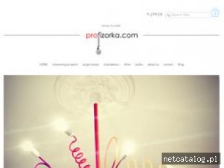 Zrzut ekranu strony www.profizorka.com