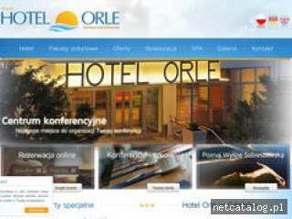 Zrzut ekranu strony www.orle.com.pl