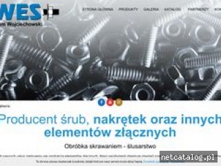 Zrzut ekranu strony wes.net.pl