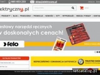 Zrzut ekranu strony www.elektryczny.pl