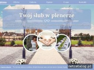 Zrzut ekranu strony slub-w-plenerze.com