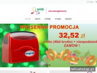 Zrzut ekranu strony amb.net.pl