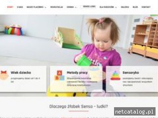 Zrzut ekranu strony sensoludki.pl