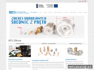 Zrzut ekranu strony apjsikora.pl