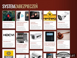 Zrzut ekranu strony systemzabezpieczen.pl