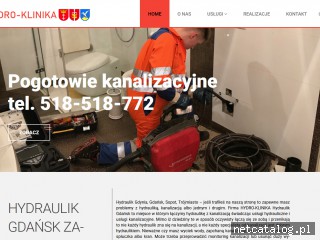 Zrzut ekranu strony www.hydraulikgdansk.com