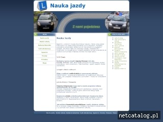 Zrzut ekranu strony www.prawojazdy-nauka.com