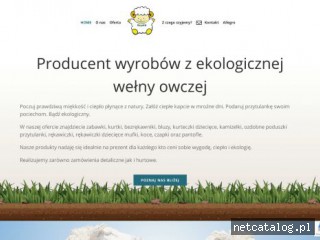 Zrzut ekranu strony welna.net.pl