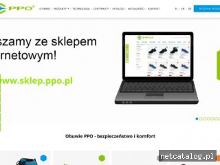 Zrzut ekranu strony www.ppo.pl