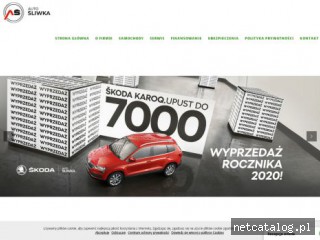 Zrzut ekranu strony autosliwka.pl
