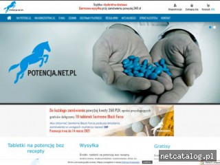 Zrzut ekranu strony potencja.net.pl