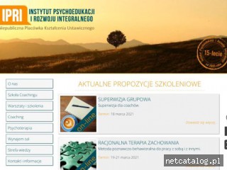 Zrzut ekranu strony www.ipri.com.pl