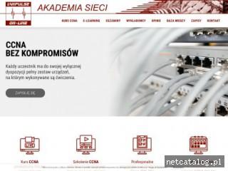 Zrzut ekranu strony www.lanpulse.pl