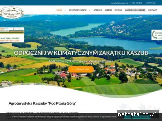 Zrzut ekranu strony ptasiagora.pl