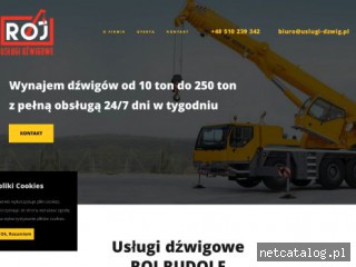Zrzut ekranu strony uslugi-dzwig.pl