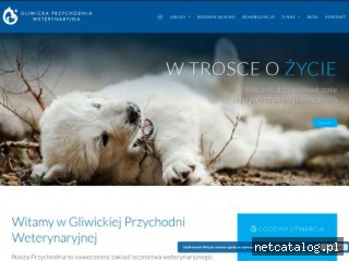 Zrzut ekranu strony wetgliwice.pl
