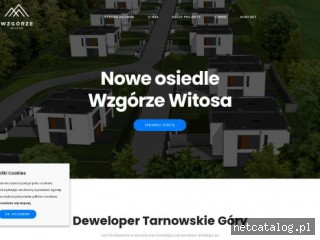 Zrzut ekranu strony wzgorzewitosa.pl