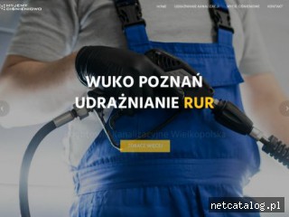 Zrzut ekranu strony myjemycisnieniowo.pl