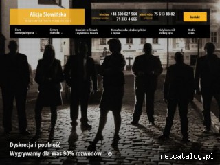 Zrzut ekranu strony detektyw-slowinska.com