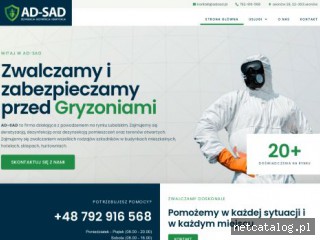 Zrzut ekranu strony adsad.pl
