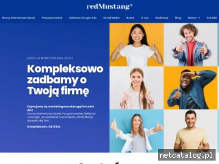 Zrzut ekranu strony redmustang.pl