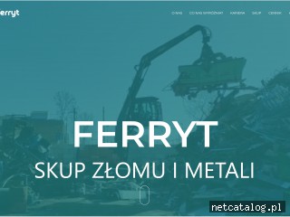 Zrzut ekranu strony www.ferryt.opole.pl