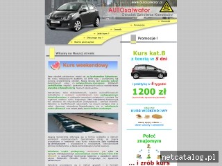 Zrzut ekranu strony www.autosalwator.pl