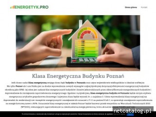 Zrzut ekranu strony energetyk.pro