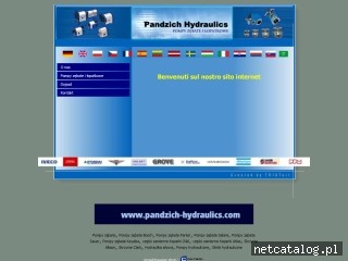 Zrzut ekranu strony pandzichhydraulics.pl