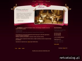 Zrzut ekranu strony www.hotelikbilcza.com