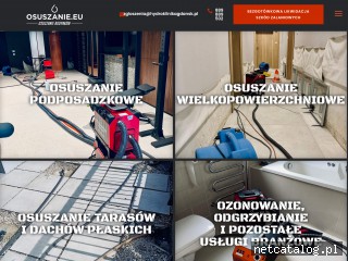 Zrzut ekranu strony osuszanie.eu