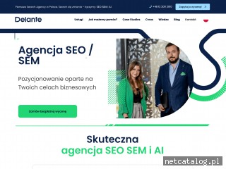 Zrzut ekranu strony delante.pl