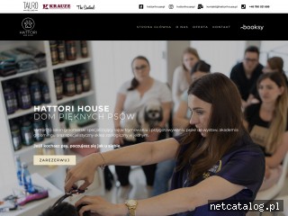 Zrzut ekranu strony hattorihouse.pl