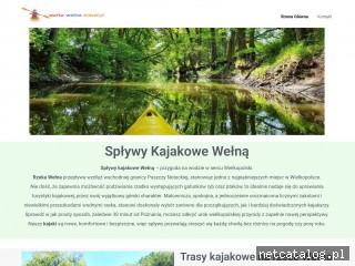 Zrzut ekranu strony warta-welna-travel.pl