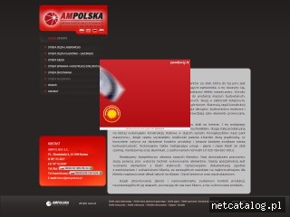 Zrzut ekranu strony www.ampolska.com.pl