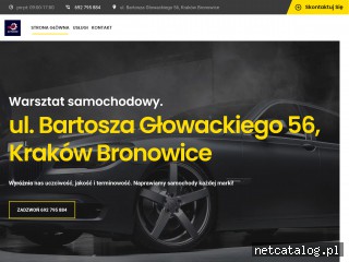 Zrzut ekranu strony autoden.pl