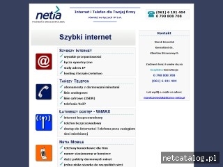 Zrzut ekranu strony www.netia-poznan.pl