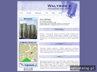 Zrzut ekranu strony www.waltronik.com