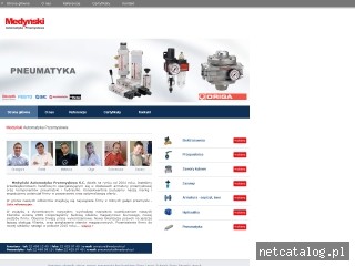 Zrzut ekranu strony www.autprzemyslowa.pl