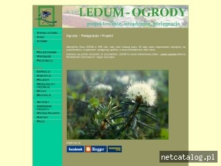 Zrzut ekranu strony www.ledum.pl