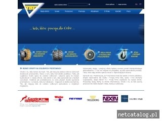 Zrzut ekranu strony www.tbt.pl