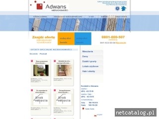 Zrzut ekranu strony www.adwans.pl