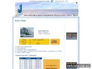 Zrzut ekranu strony www.surfbrother.pl