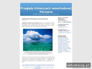 Zrzut ekranu strony www.przeglady-klimatyzacji.sztukawyciszania.pl